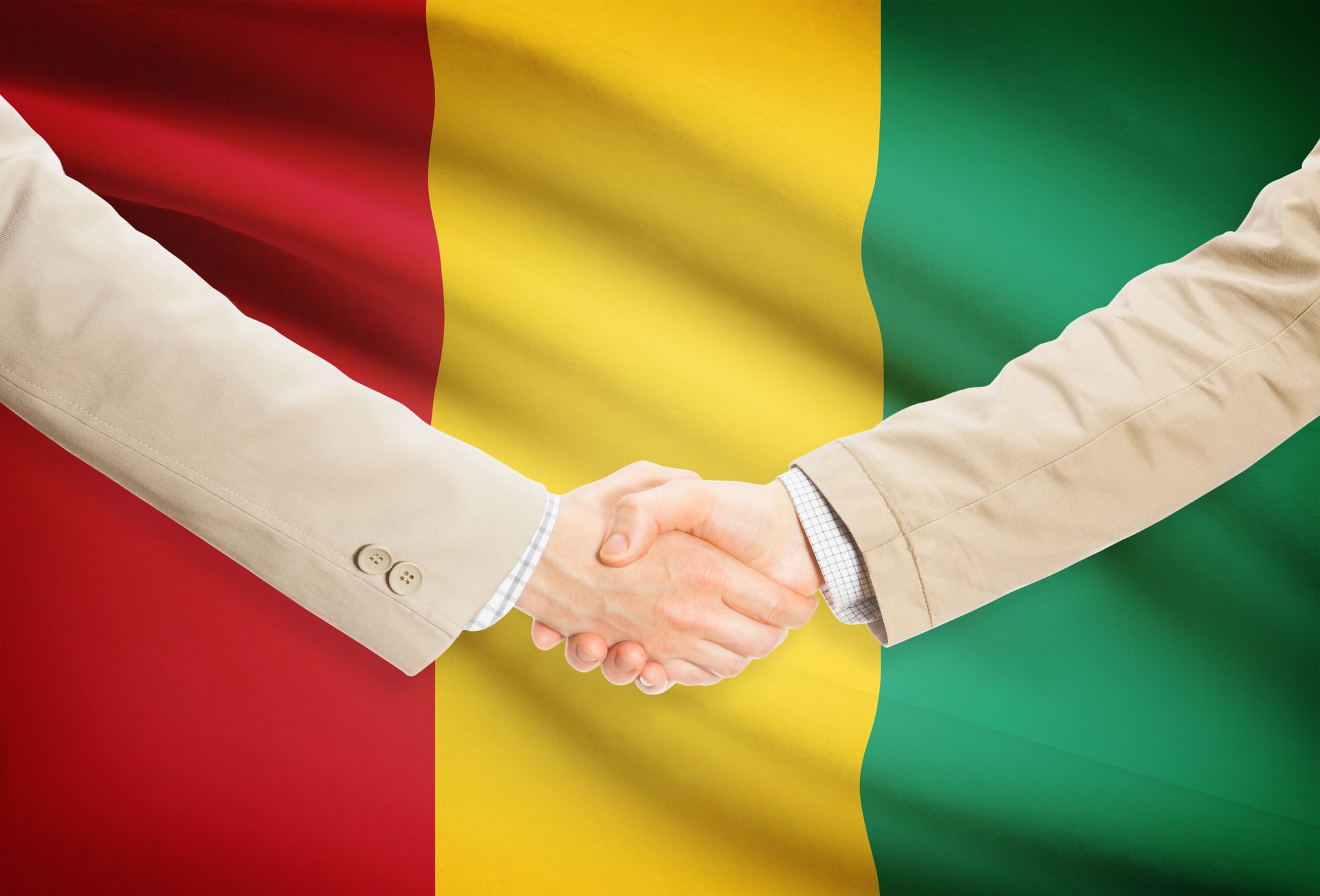 Businessmen handshake with flag on background - Guinea